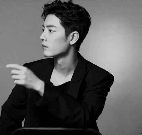肖战最新动态爆料,神秘项目引关注，粉丝热议